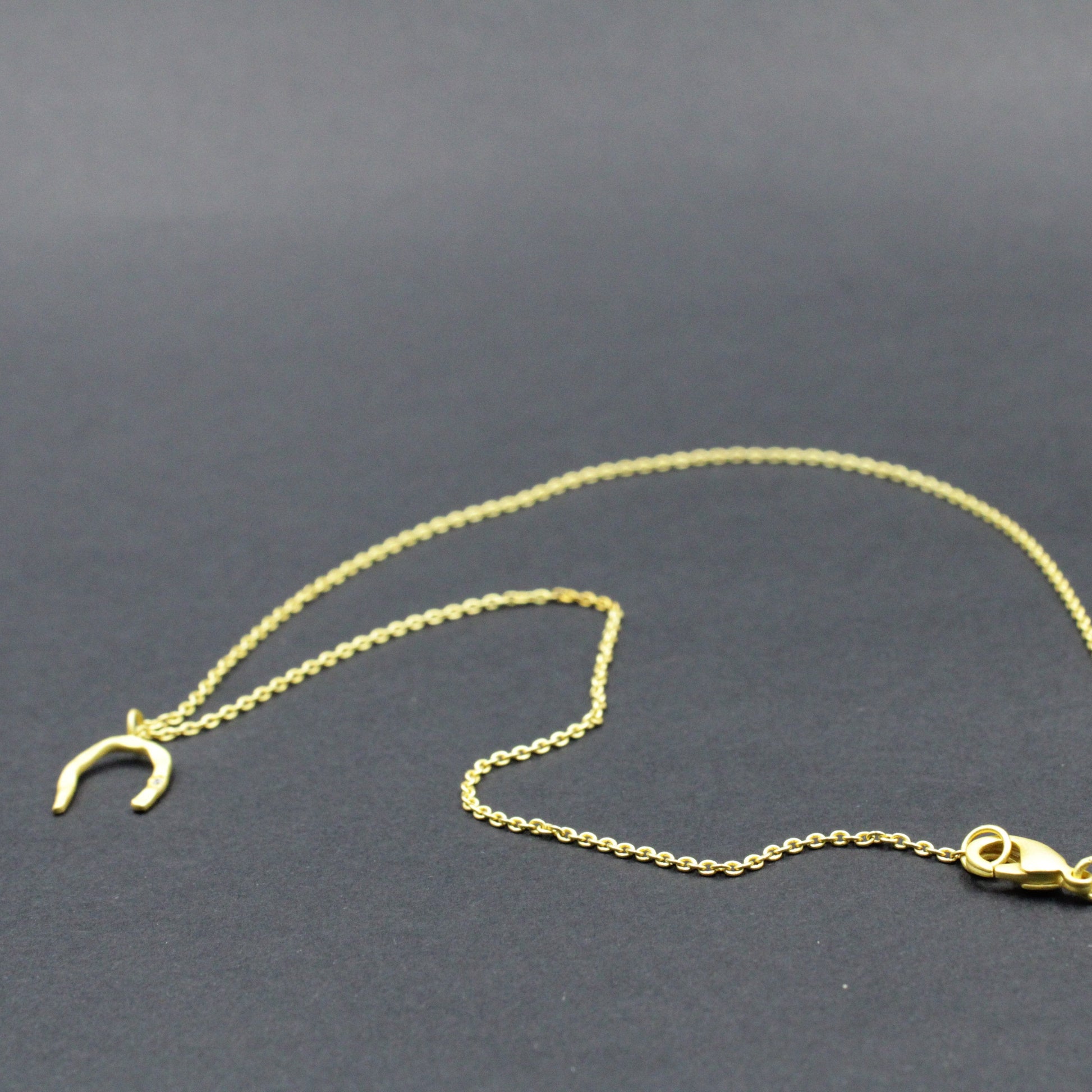 Cadena HERRADURA bañada en oro-2